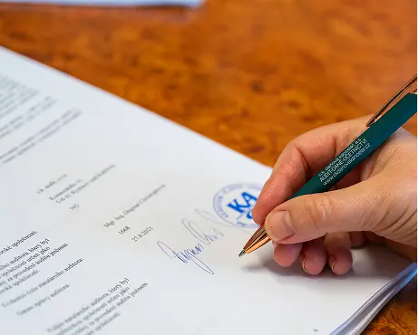 audit, přezkum ckdanova